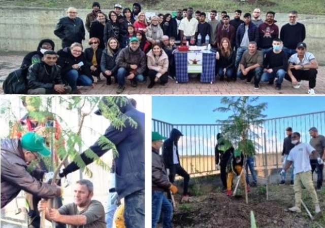 M.A.D.R.E. T.E.R.R.A. Giornata sensibilizzazione ambientale a Raddusa: piantati alberi negli spazi della parrocchia Immacolata Concezione